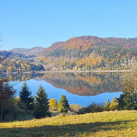 Lakeforest Wellness Privat Jacuzzi Aj Sauna, Vyhlad Na Jazero Villa Dedinky